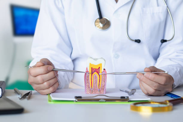 Best Orthodontic Emergency Dentist in Mcadoo, PA
